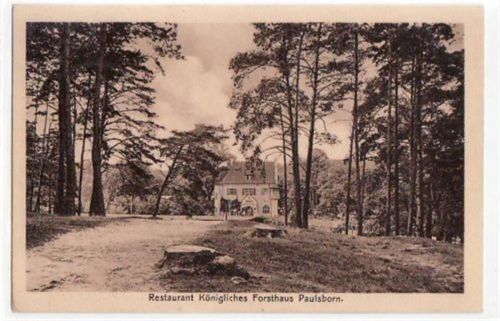 Berlin Wilmersdorf, Grunewald mit Restaurant Königliches Forsthaus, Paulsborn gelaufen von 1911. Gute Erhaltung.