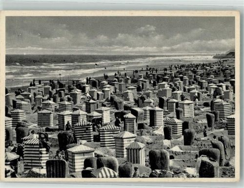 Norderney Dicht gedrängt stehende Strandkärbe am Nordstrand