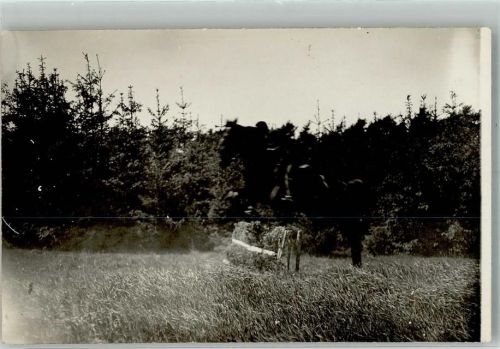 Reiter beim überspringen eines Hindernisses