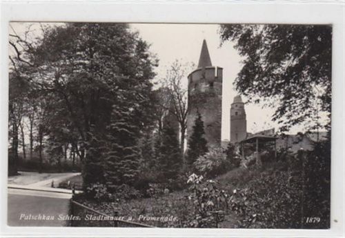 Patschkau / Paczków - Kreis Neisse / Nysa in Schlesien. Stadtmauer Promenade ungelaufen Rückseite leicht stockfleckig, sonst gut erhalten
