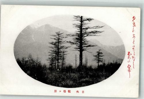 Gebirge Wald