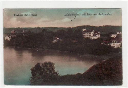 Waldfrieden mit Park am Buckow-See in Buckow ( Kreis Lebus ). Die Karte wurde beschrieben und vermutlich im Umschlag verschickt. Leichter Bug oben rechts, sonst gut erhalten.