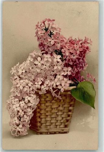 1911 Meissner u. Buch Serie 1788 Photocolor AK