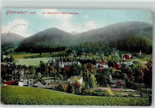 Görbersdorf i Schl 1912 Dr. Brehmer`s Heilanstalt