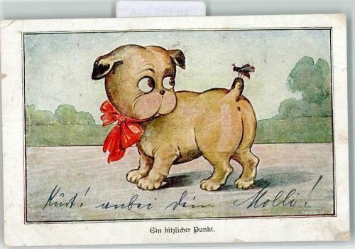 Humor Hund - eine Biene sitzt auf dem Schwanz