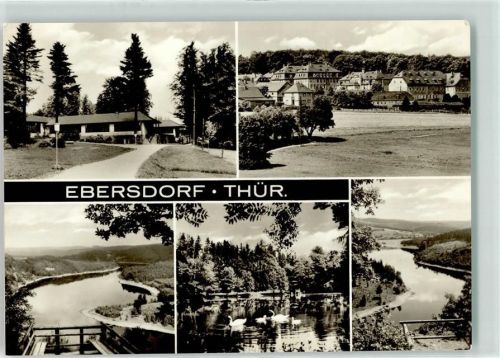 Ebersdorf See Schwan