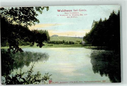 07987 O6601 Waldhaus b Greiz 1907 - oberer Krümmeteich im Hintergrund der Mittelberg Weg