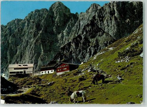 Gruttenhütte Wilder Kaiser Pferd