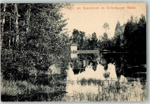 Grillenburg Grillenburger Walde Am Seerenteich