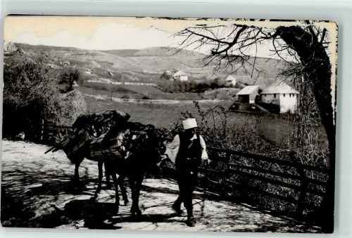 Sarajevo Sarajewo Gebrauchsspuren Tracht Lastenesel Ort lt. Fotograf
