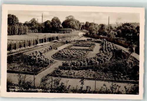 Meerane Rosarium