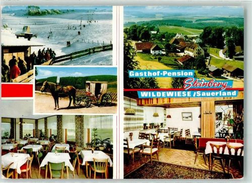 Wildewiese Gasthaus-Pension Steinberg Kutsche Skihang