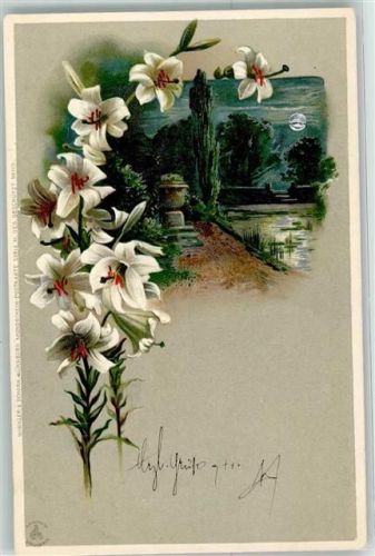 1900 Blumen Landschaft Mondschein Serie XI