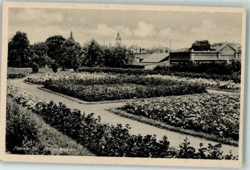 Meerane Rosarium