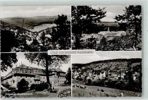 Aulhausen Diäzesan Knabenheim St. Vincenzstift Kühe