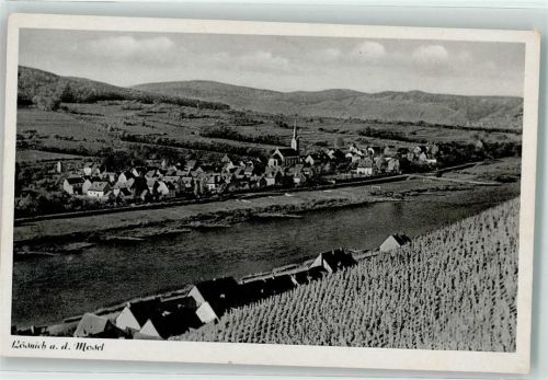 Lösnich Mosel