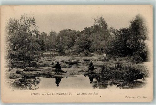 Fontainebleau Foret la Mare aux Fees