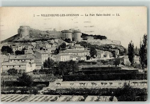 Villeneuve-les-Avignon le Fort Saint Andre