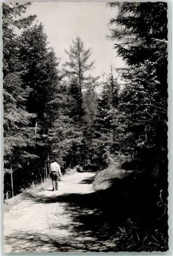 69429 W6935 Waldkatzenbach FOTO KEINE AK Ort handschriftlich