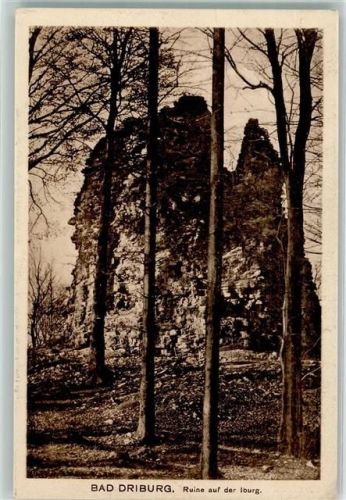 Bad Driburg Ruine auf der Iburg