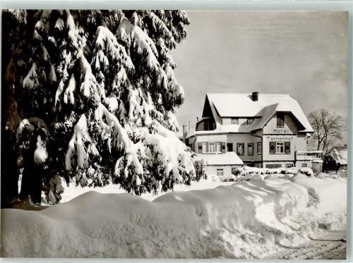 Zwieselberg Winter Hotel Tannenhof