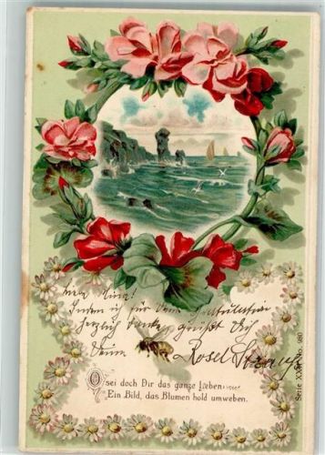 1905 Heckenrose Möwen Chrysanthemen Lithographie