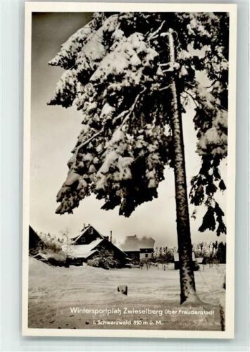 Zwieselberg Gasthaus Pension Auerhahn Winter