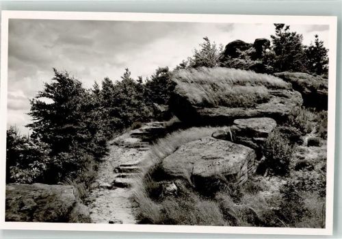 Waldfischbach-Burgalben Am Galgenfelsen Foto Metz