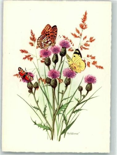 Großer Perlmutterfalter Goldene Acht u. Glücksvögelchen a. Distelblüten Kunstverlag Felix Korn Nr. 1972