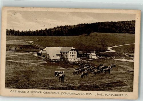 Giesshübel 1915 Gasthaus und Pension Schauinsland