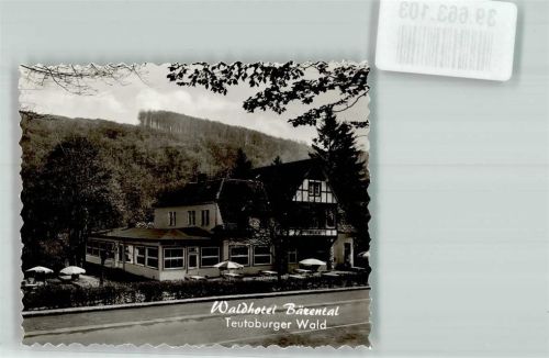 Kohlstädt Waldhotel Bärental Teutoburger Wald Ort handschriftlich Foto Original aus Archiv eines Ansichtskartenverlags