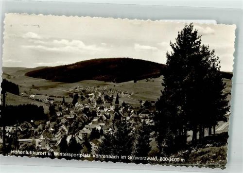 Vöhrenbach mit Kirche St. Martin