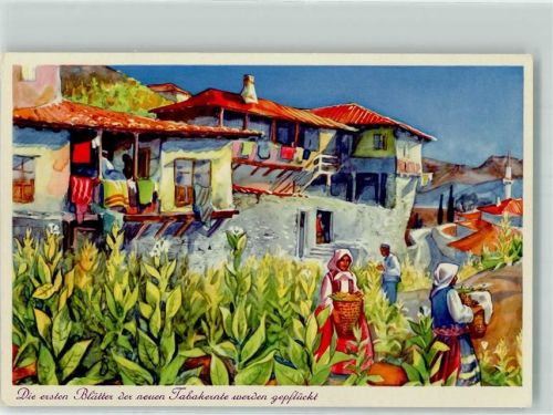 Melnik 1937 Trocknen von Tabak