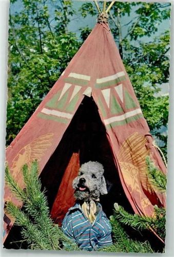 Tipi Tiere vermenschlicht Verlag A. Kieer Nr. 935