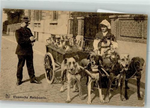 1917 Flämische Milchbäuerin Polizei