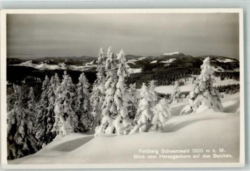 Bernau Winter Blick vom Herzogenhorn auf dem Belchen Feldberg