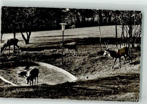 Gelnhausen Landgut Geisberg Hirschpark