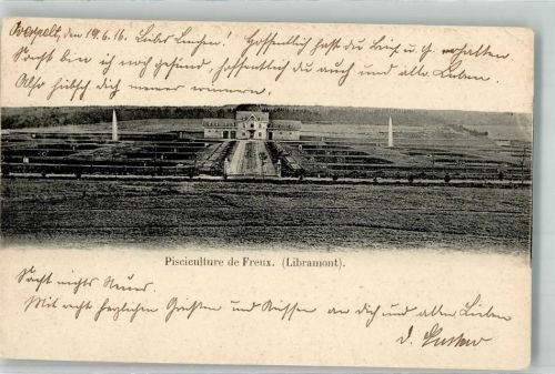 Libramont 1916 Fischfarm Feldpost WK I Soldatenbrief 2. Komp. I.landst.Inf.-Batl. Saarbrücken