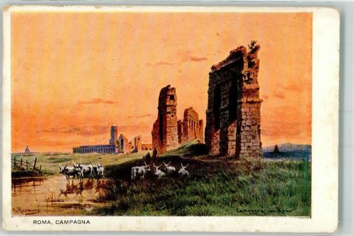 Roma 1900 Roma, Campagna Kühe Ruinen