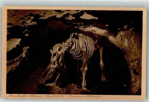 Teufelshöhle mit Höhlenbär