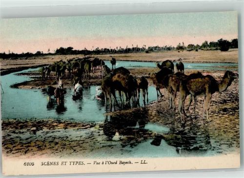 Nr. 6105 Scenes et Types - Vue a L`Oued Bayech - Tränke für die Kamele Verlag Levy et Neurdein Paris