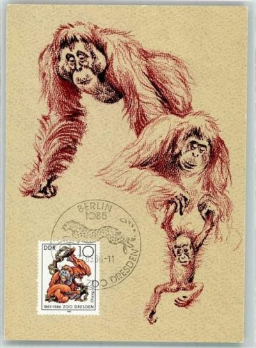 Dresden Orang Utan Sondermarke 125 Jahre Zoo