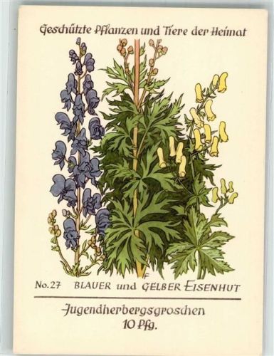 sign. Feuerstein F. Blauer- u. gelber Eisenhut Jugendherbergsgroschen