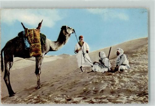 Le Desert - Halte Kamel Bedouinen