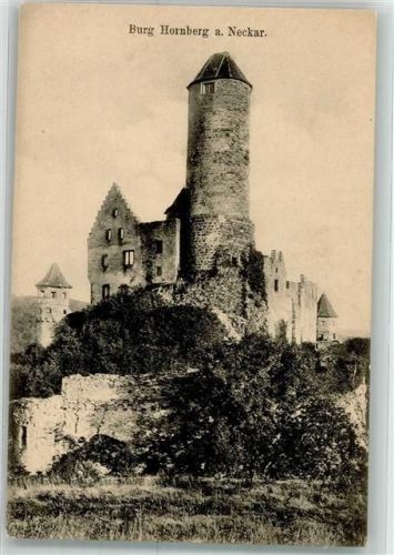74865 W6951 Neckarzimmern - Burg Hornberg Fotograf Hochstetter