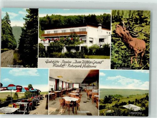 Mauloff Pension Gasthaus Zum Kühlen Grund