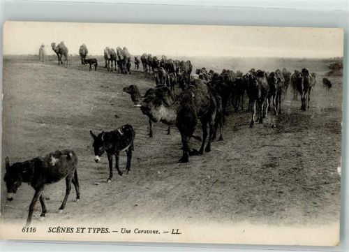 Nr. 6116 Scenes et Types - Une Caravane Kamele Esel