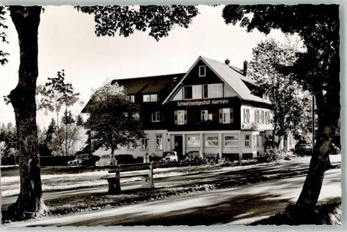 Zwieselberg Gasthaus Auerhahn VW Käfer Mercedes