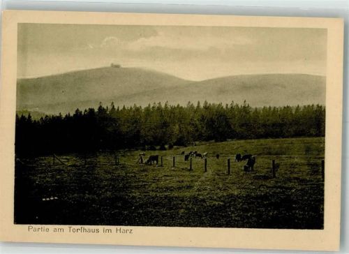 Torfhaus