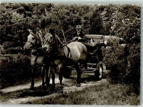 Bispingen Kutschwagen